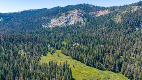 14500 Sloat Mcrae Rd, Blairsden Graeagle, CA, 96103 | Card Image