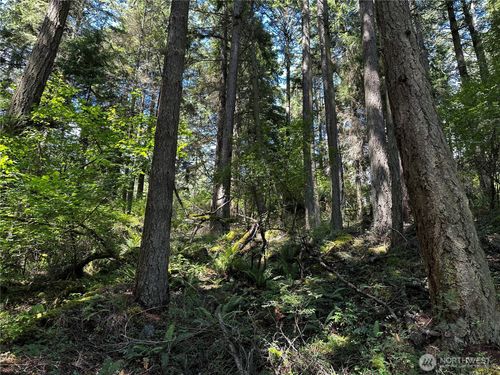 808 Orcas Rd, Eastsound, WA, 98245 | Card Image