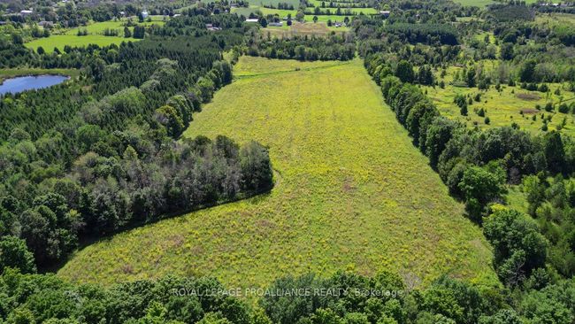 128 Boundary Rd, Home with 0 bedrooms, 0 bathrooms and 1 parking in Roslin ON | Image 23