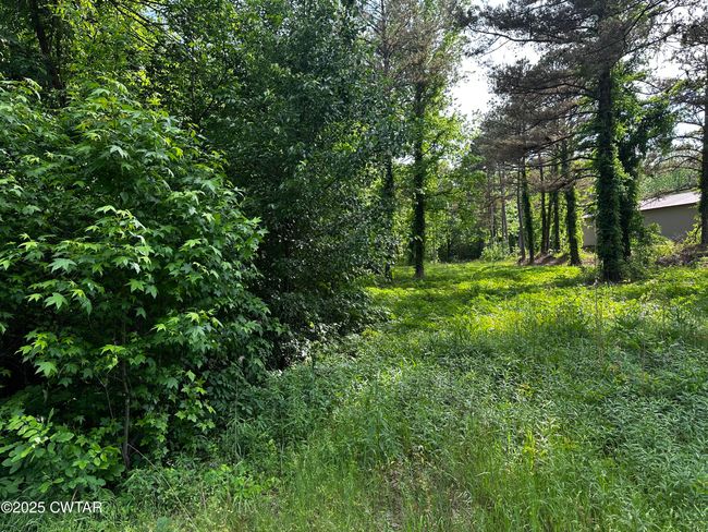 0 Highway 57 E, Home with 0 bedrooms, 0 bathrooms and null parking in Michie TN | Image 7