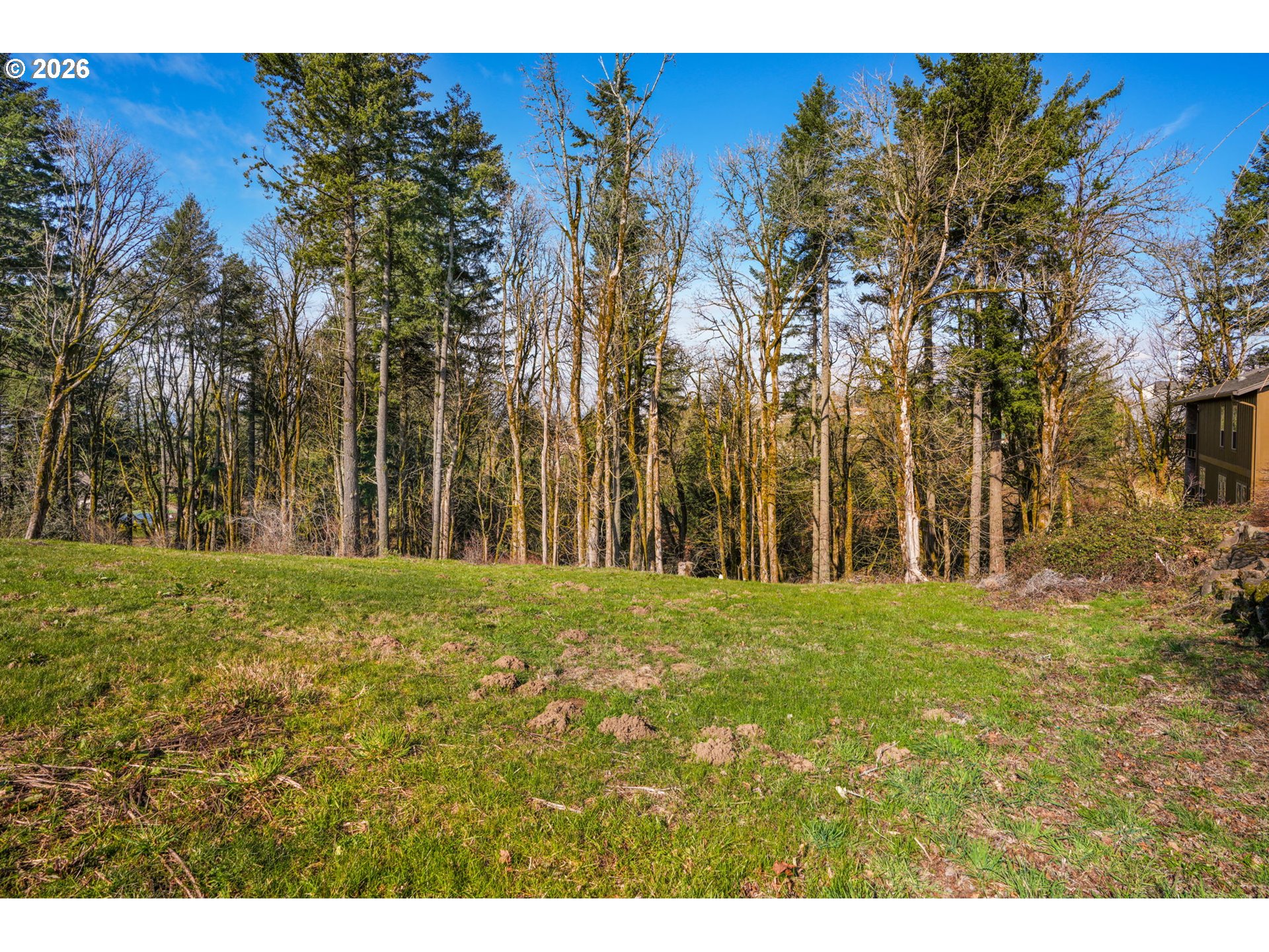 Land in Camas 4