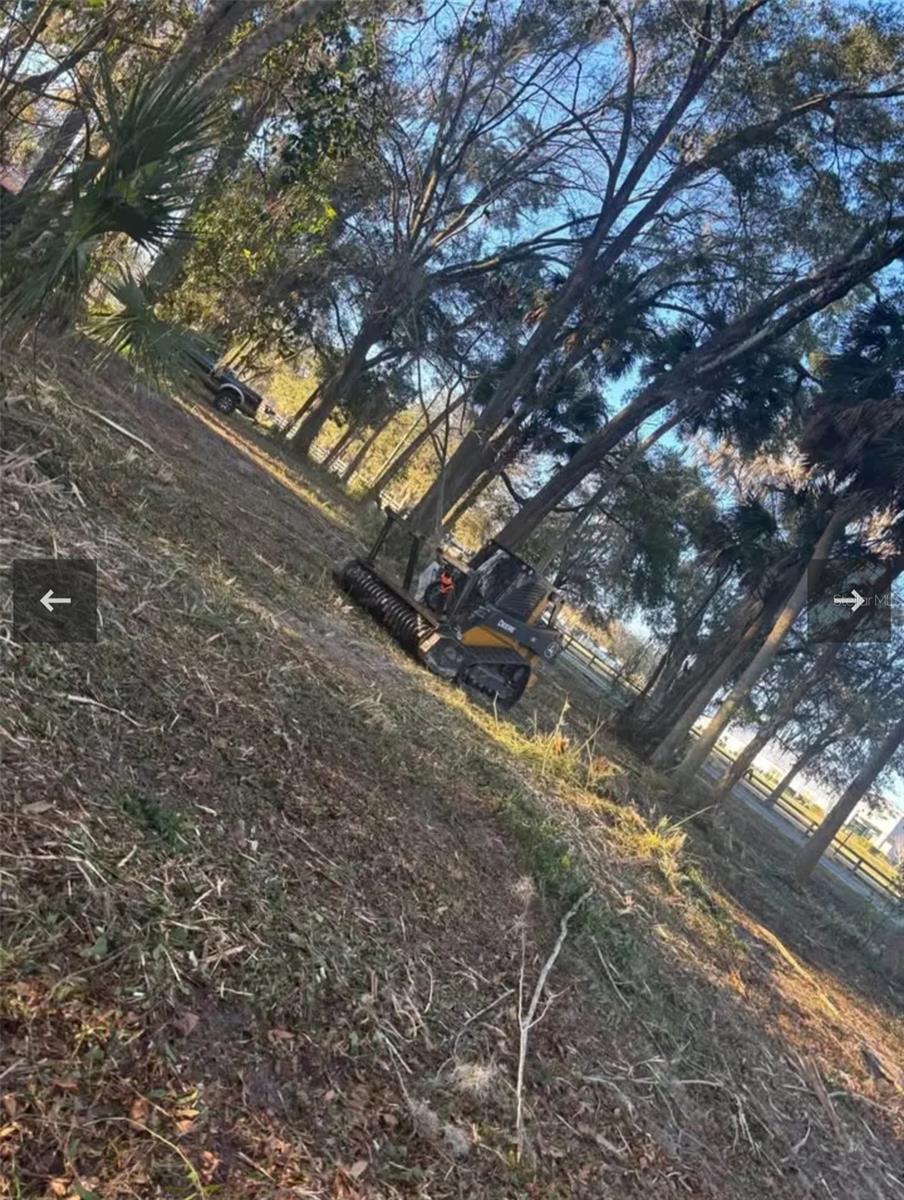 Land in OCALA 4
