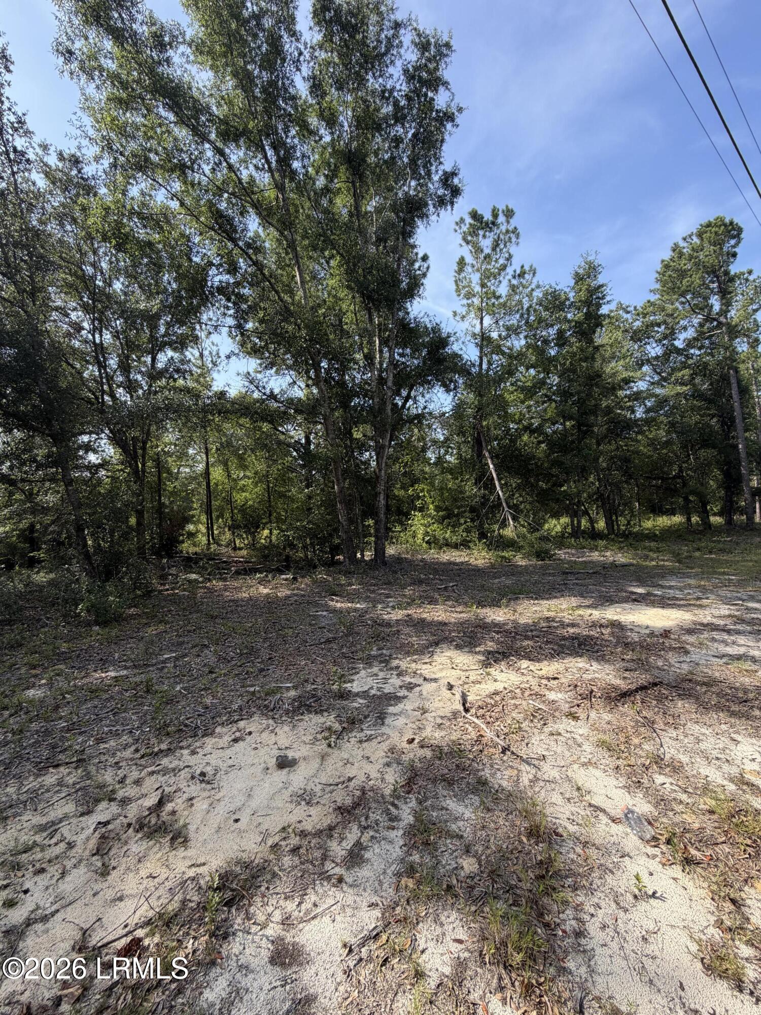 Land in Ridgeland 5