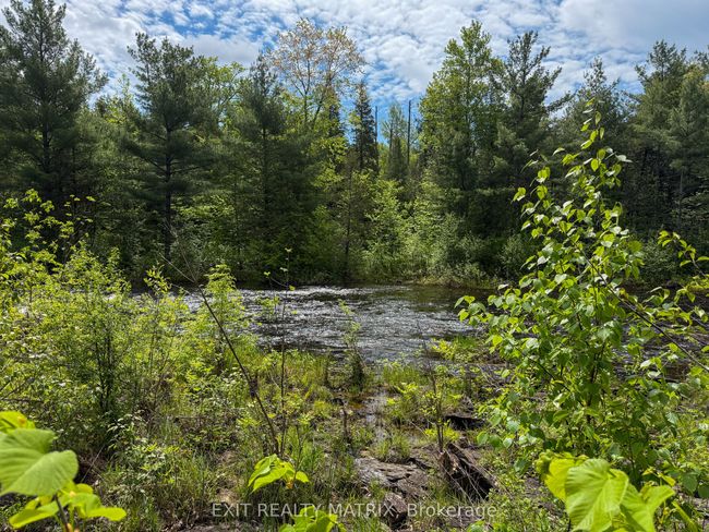 12654 Lanark Rd, Home with 0 bedrooms, 0 bathrooms and null parking in Calabogie ON | Image 16
