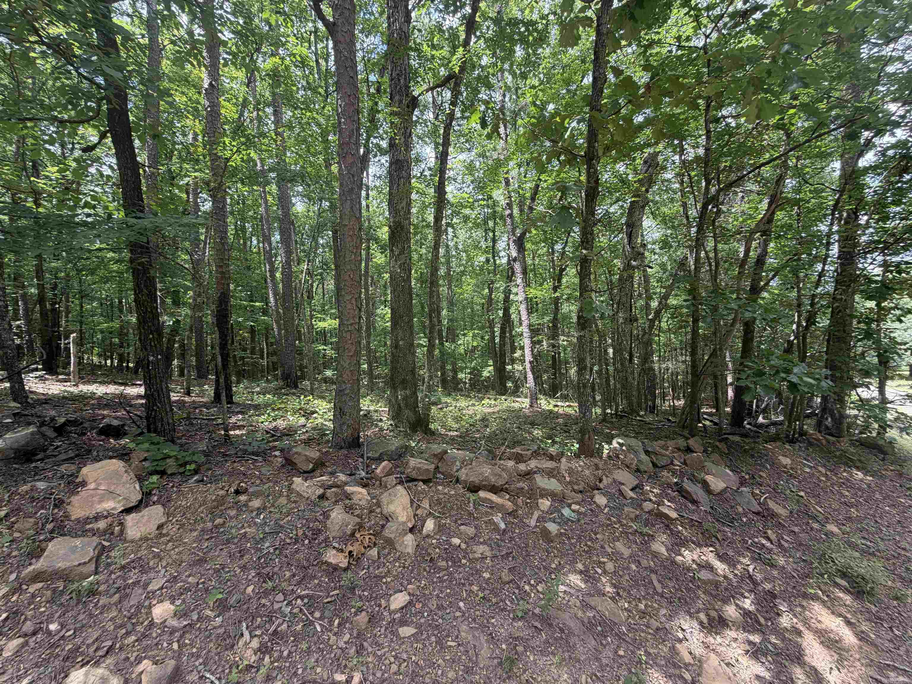 Land in Clinton 3