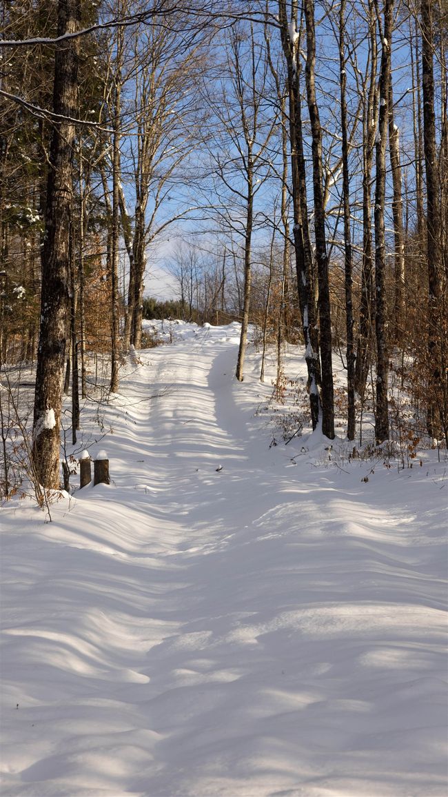 5000 Route 106, Home with 0 bedrooms, 0 bathrooms and null parking in Reading VT | Image 4