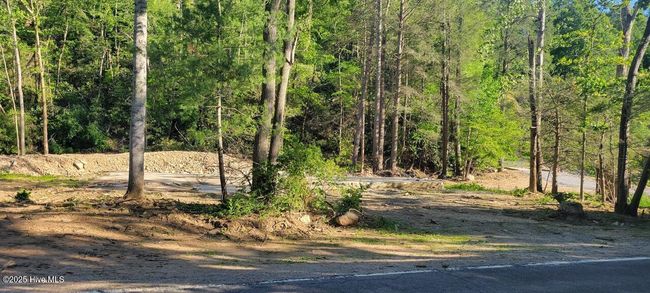 1229 Bee Tree Rd, Home with 0 bedrooms, 0 bathrooms and null parking in Swannanoa NC | Image 6