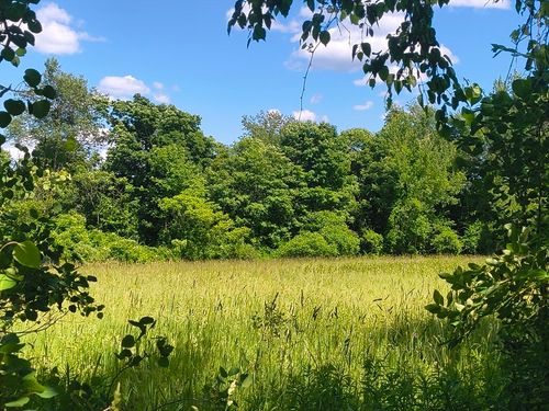 lot 4 Holcomb Rd, Chester, MA, 01011-9676 | Card Image