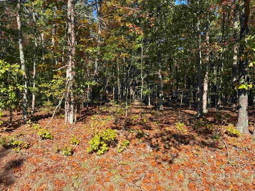 Lot 71R Dunlop, Fairfield Bay, AR, 72088 | Card Image