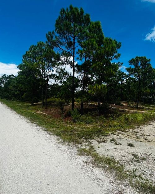 486 Dreamland Dr, Lake Placid, FL, 33852 | Card Image