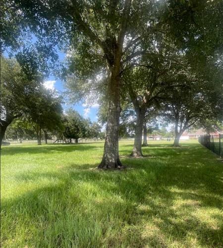Land in Alvin 4