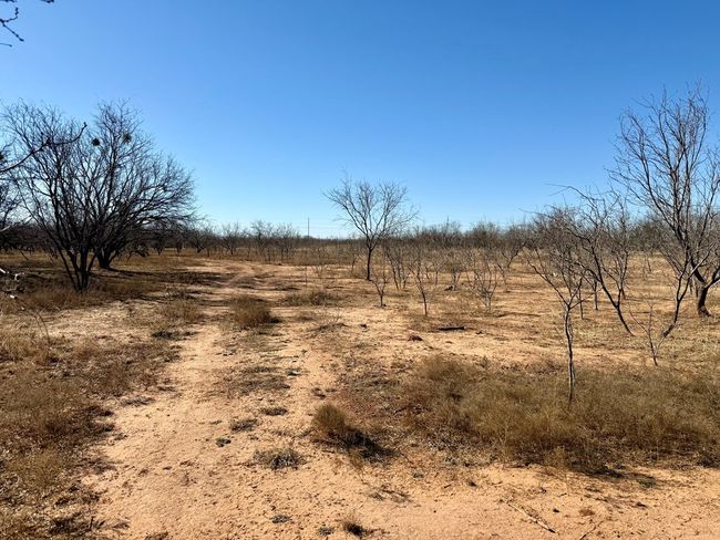 00 W Hwy 158, Home with 0 bedrooms, 0 bathrooms and null parking in Bronte TX | Image 14