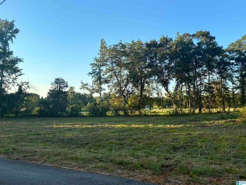 1-0 County Road 232, Clanton, AL, 35045 | Card Image