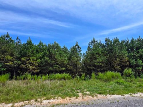 66-241 Shoreside Dr, Double Springs, AL, 35553-0059 | Card Image