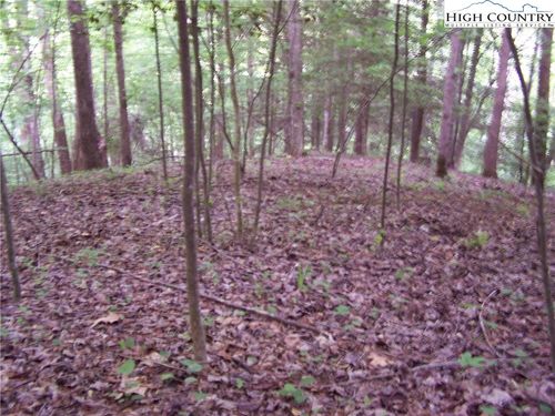 na-Tbd Powder Horn Mountain Rd, Deep Gap, NC, 28618 | Card Image