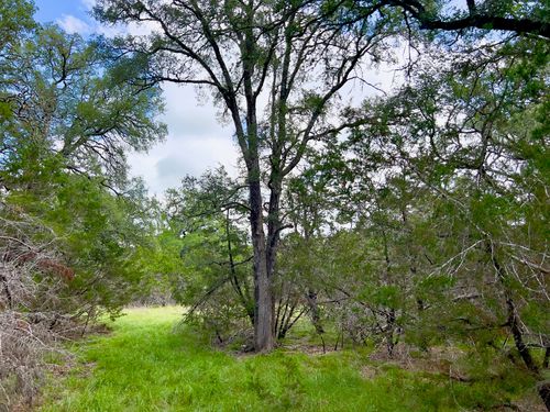 1-Lot 43-A Narrows Road, Blanco, TX, 78606 | Card Image