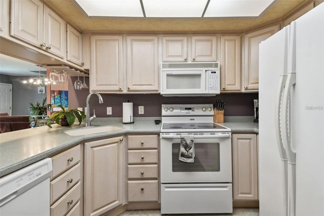 UNIT-5 - 20890 Negril Ct, Condo with 2 bedrooms, 2 bathrooms and null parking in LUTZ FL | Image 20