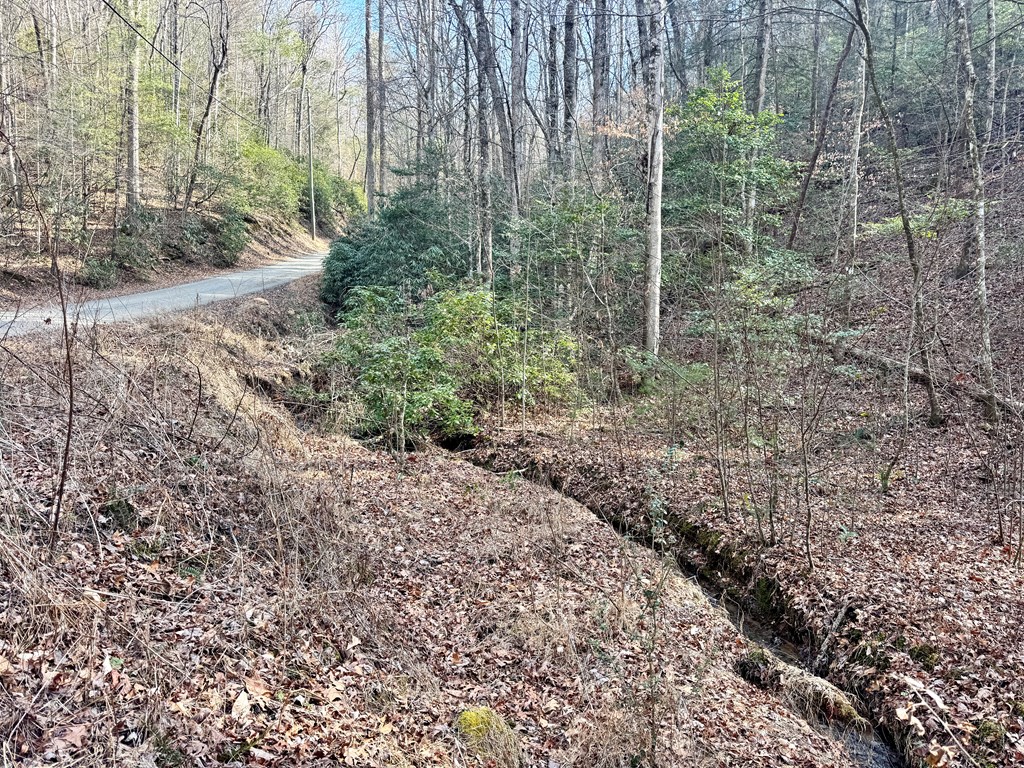 Land in Ellijay 3