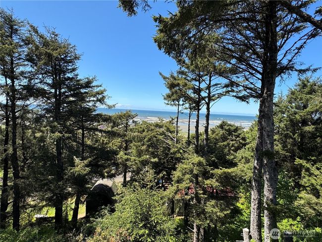 4751 State Route 109, House other with 1 bedrooms, 1 bathrooms and null parking in Moclips WA | Image 16