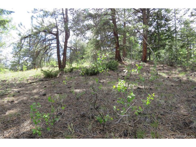 0 Come And See Mine, Home with 0 bedrooms, 0 bathrooms and null parking in Central City CO | Image 9