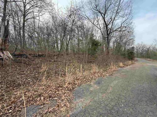 TBD Will Scarlet Dr, Hardy, AR, 72542 | Card Image
