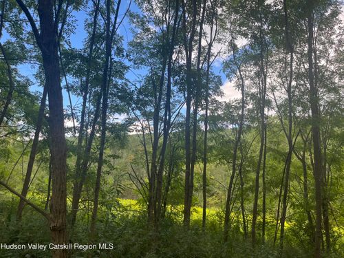 39227 State Highway 23, Grand Gorge, NY, 12434-1356 | Card Image