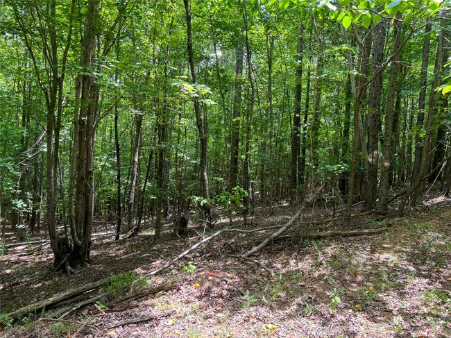 B - 00 Quarter Round Rd, Home with 0 bedrooms, 0 bathrooms and null parking in pacolet SC | Image 17