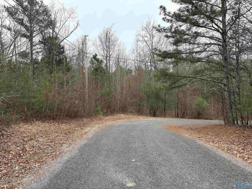 lots 30&31 Shawnee Cir, Scottsboro, AL, 35768 | Card Image