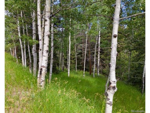 28380 Pine Trl, Conifer, CO, 80433-7249 | Card Image