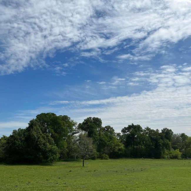 112 S Fitzwilliams Ln, House other with 3 bedrooms, 3 bathrooms and null parking in Bastrop TX | Image 21