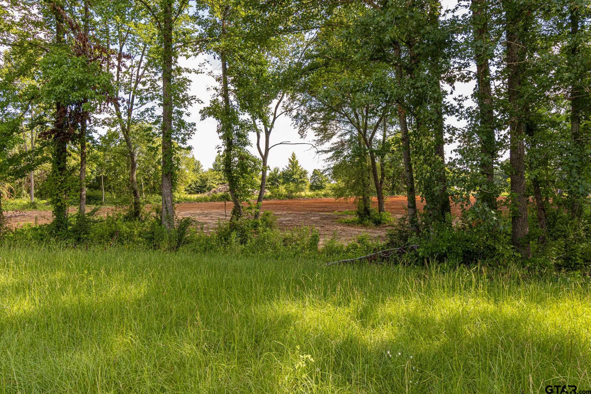Land in Bullard 3