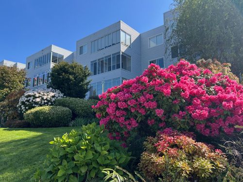 303-1354 Winter St, White Rock, BC, V4B3Y1 | Card Image