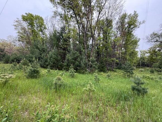 4465 E Old M 63, House other with 3 bedrooms, 1 bathrooms and null parking in Luther MI | Image 37