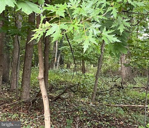 L:25 Mandl Street, Hamilton, NJ, 08619 | Card Image