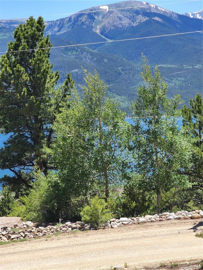 332 Mount Elbert Dr, Home with 0 bedrooms, 0 bathrooms and null parking in Twin Lakes CO | Image 6