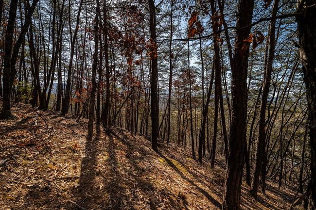 2077 Deerfield Valley Rd, House other with 2 bedrooms, 1 bathrooms and null parking in WEST AUGUSTA VA | Image 26
