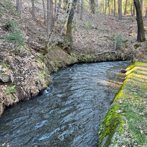 369 Canyon View Dr, Hathaway Pines, CA, 95233 | Card Image