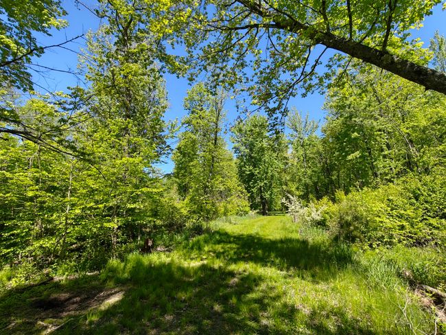 10830 3 Mile Rd, Home with 0 bedrooms, 0 bathrooms and null parking in Branch MI | Image 29