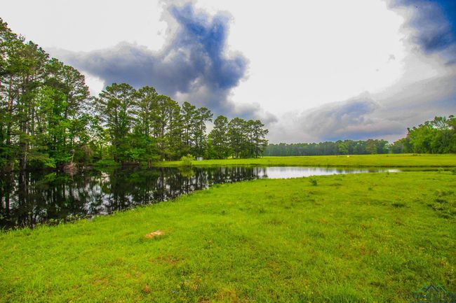 000 Fm 1794 E, Home with 0 bedrooms, 0 bathrooms and null parking in De Berry TX | Image 17