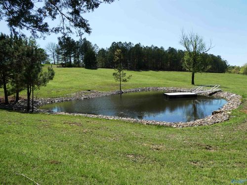 3.27 Ac County Road 4201, Crane Hill, AL, 35053 | Card Image