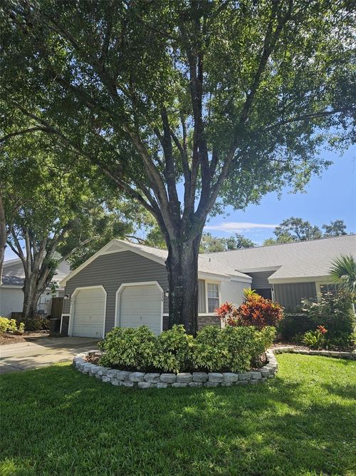 339-339 Petrea Dr, PALM HARBOR, FL, 34684-3438 | Card Image