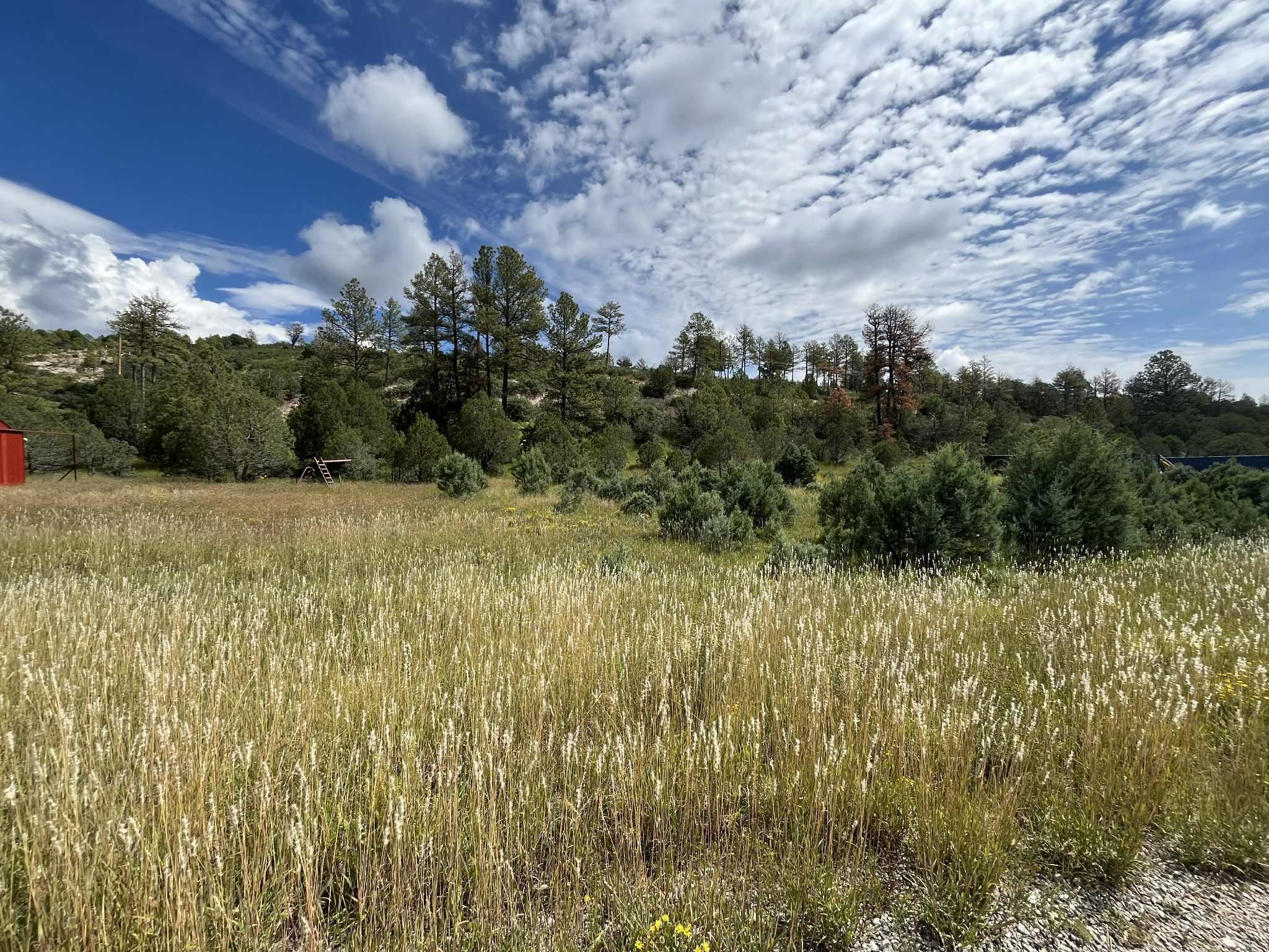 Land in Timberon 4