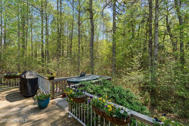 334 Mac Dougall Dr, House other with 3 bedrooms, 3 bathrooms and null parking in West End NC | Image 48