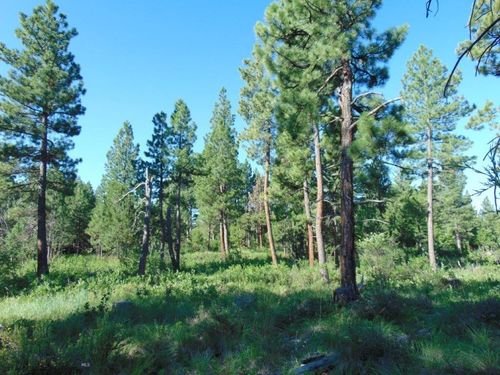 4615 Abe Lincoln Rd, Lincoln, MT, 59639 | Card Image