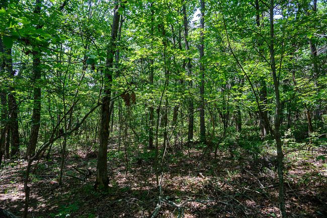 3 Arrow Branch Rd, Home with 0 bedrooms, 0 bathrooms and null parking in Rising Fawn GA | Image 8