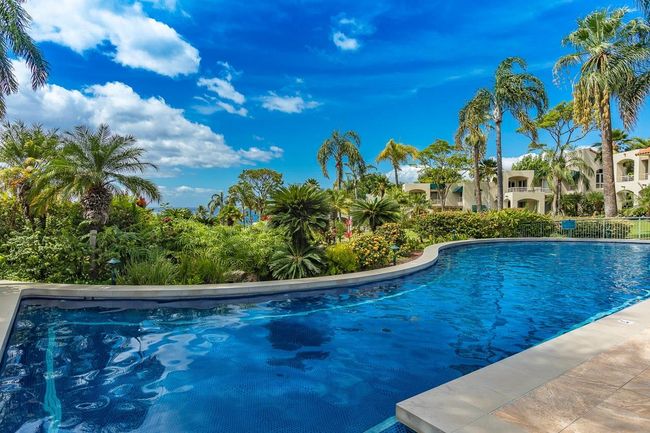 The refreshing ocean-view pool is spacious enough to accommodate lap swimming & it is surrounded by | Image 34
