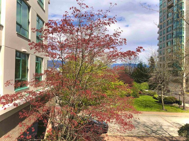 203 - 5899 Wilson Avenue, Condo with 1 bedrooms, 1 bathrooms and 1 parking in Burnaby BC | Image 21