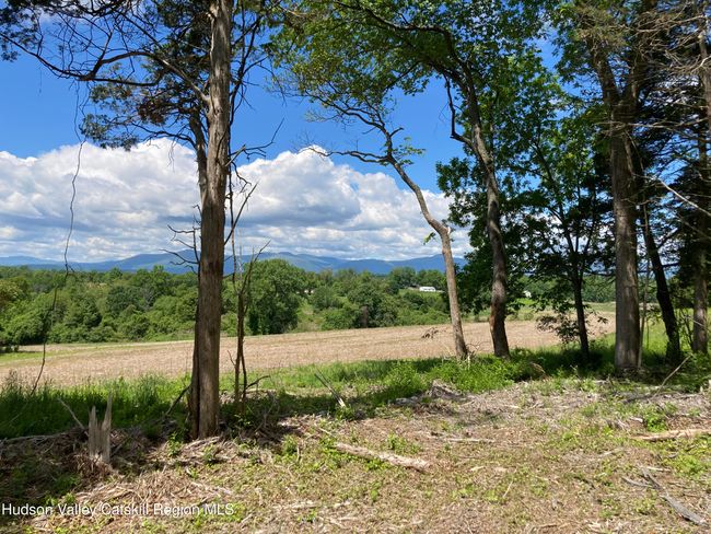 3 County Route 6, Home with 0 bedrooms, 0 bathrooms and null parking in Germantown NY | Image 5