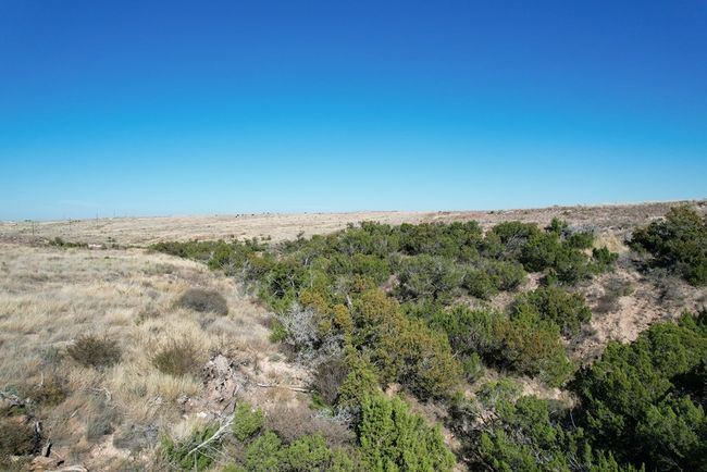0000 Camp Springs Rd, Home with 0 bedrooms, 0 bathrooms and null parking in Snyder TX | Image 4