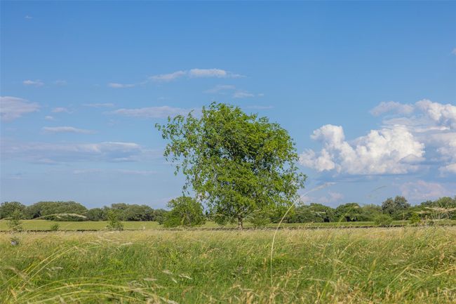5019 Hartfield Rd, Home with 0 bedrooms, 0 bathrooms and null parking in Round Top TX | Image 6